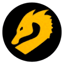 Dragon Partners logo banner